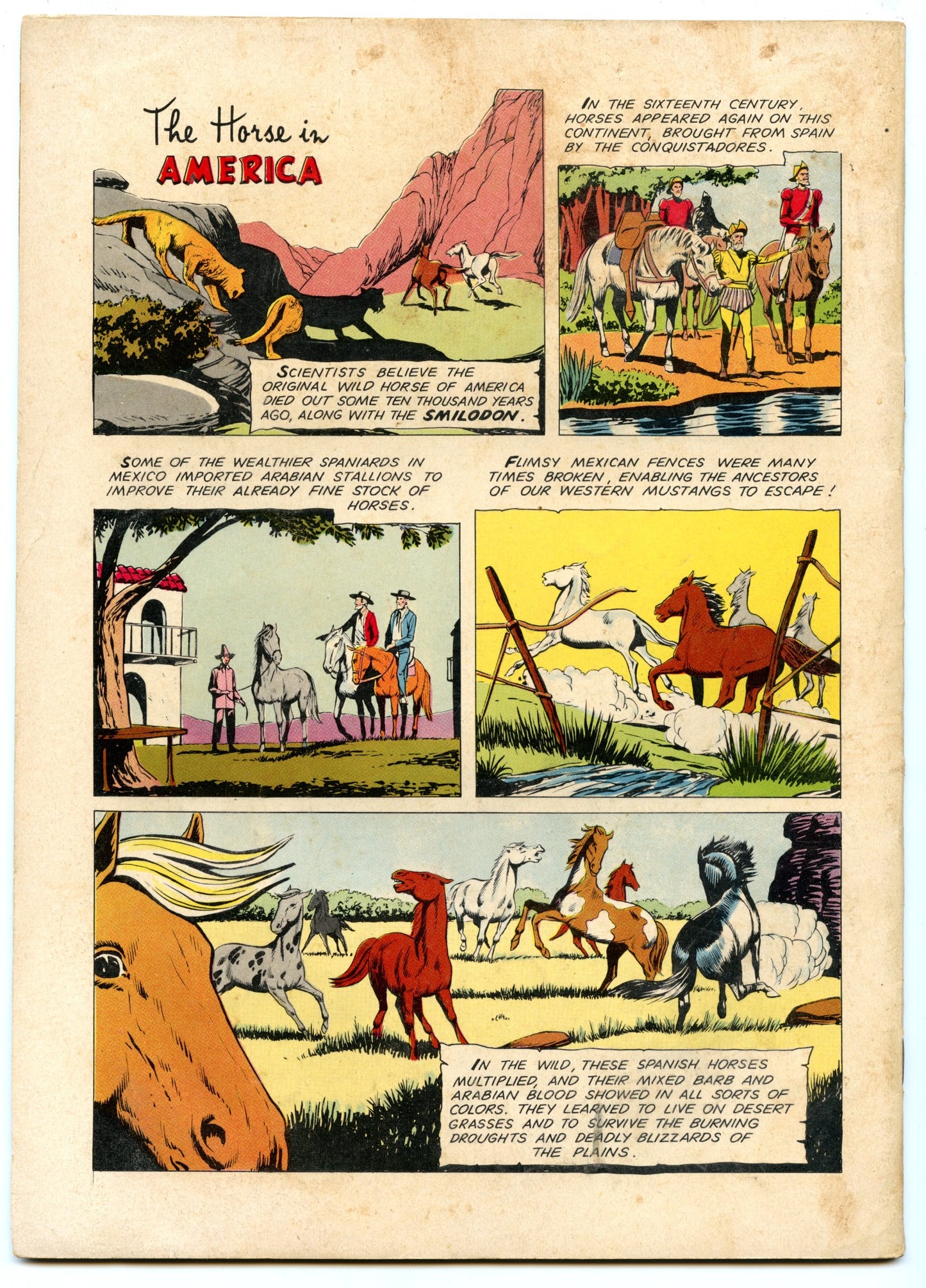 Four Color 975 (Mar 1959) VG+ (4.5) - Fury